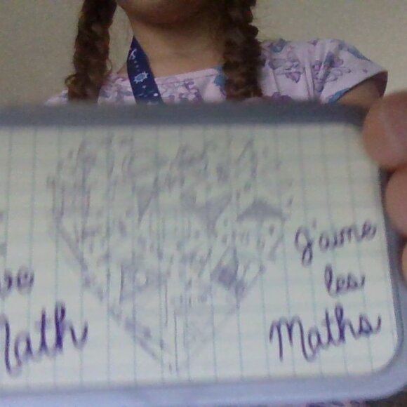 sofe - Picture 6 of 17